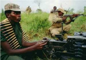 Inkotanyi-2